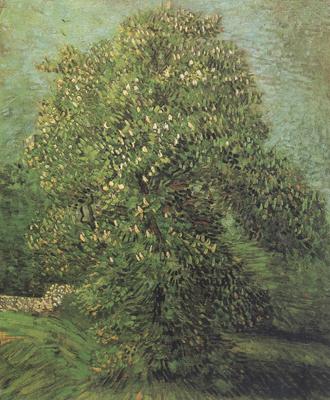 Vincent Van Gogh Chestnut Tree in Blosson (nn04) Sweden oil painting art